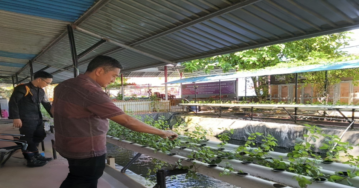 Lapas Narkotika Karang Intan Kembangkan Budidaya Daun Mint Hidroponik, Wujudkan Kemandirian Warga Binaan