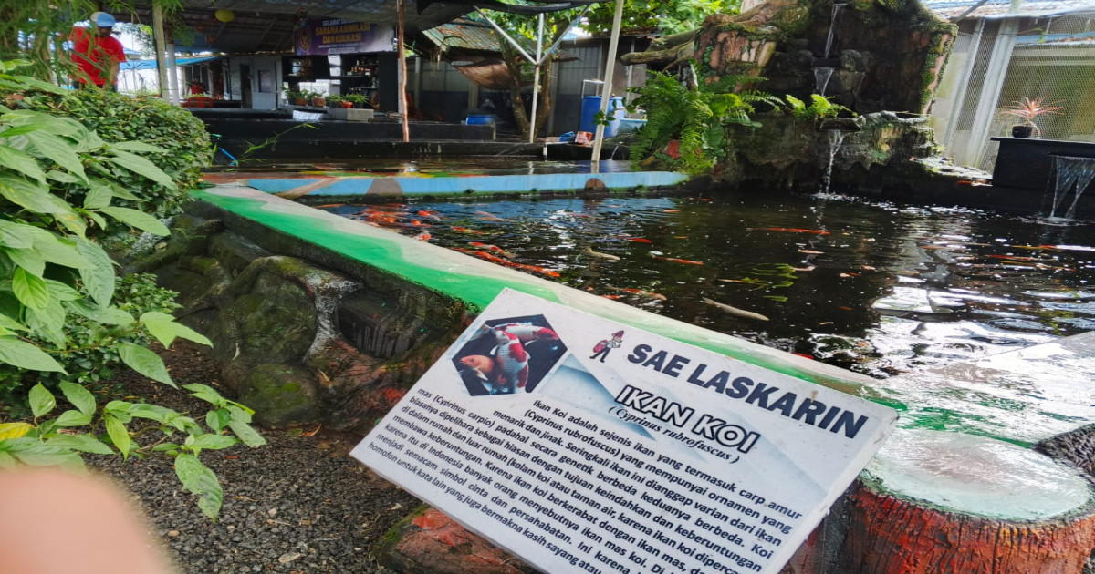 Asah Keterampilan Warga Binaan, Lapas Karang Intan Kembangkan Budidaya Ikan Koi di SAE