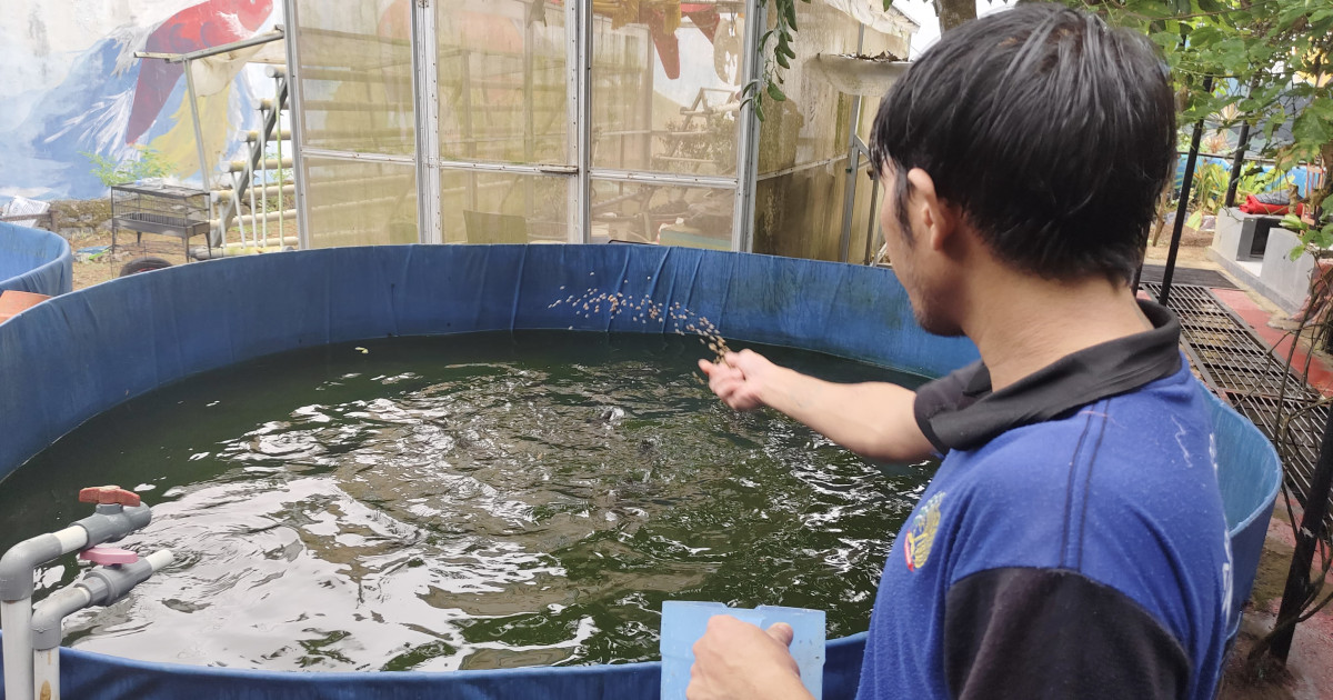 WBP Lapas Narkotika Karang Intan Rutin Beri Pakan Ikan Lele, Wujudkan Pembinaan Kemandirian melalui Bioflok Ramah Lingkungan