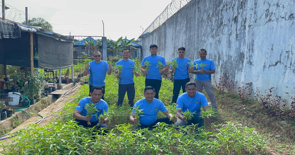 Panen Raya Kangkung di Lapas Narkotika Karang Intan: Bukti Nyata Kemandirian Warga Binaan Pasca-Rehabilitasi