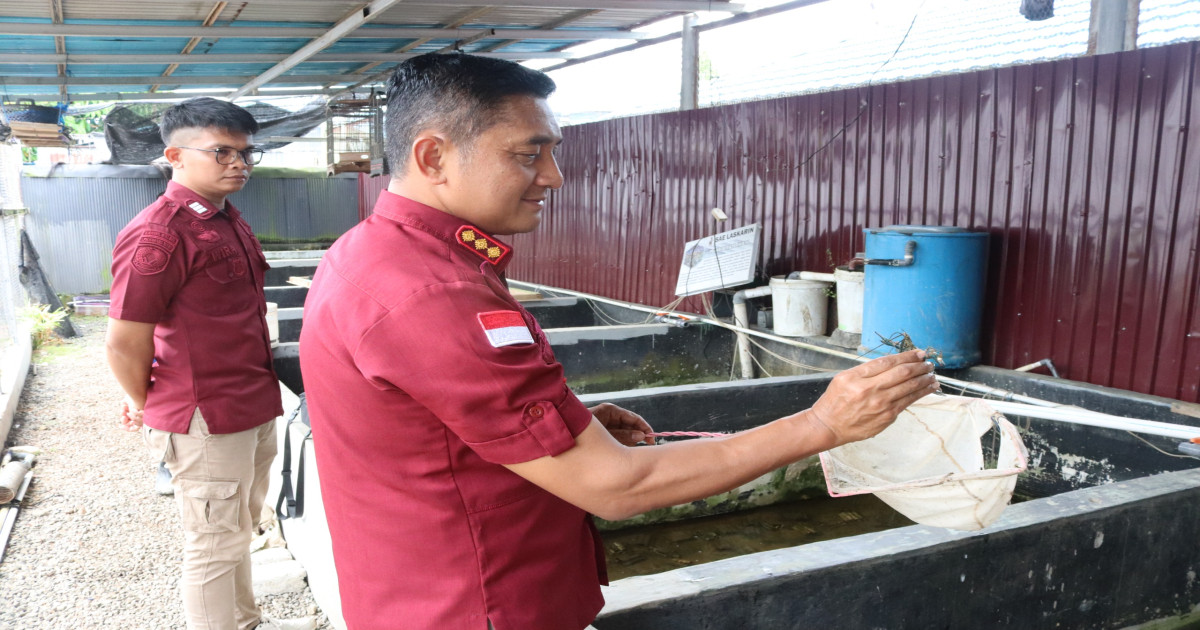Kalapas Narkotika Karang Intan Apresiasi Semangat WBP dalam Budidaya Lobster Air Tawar