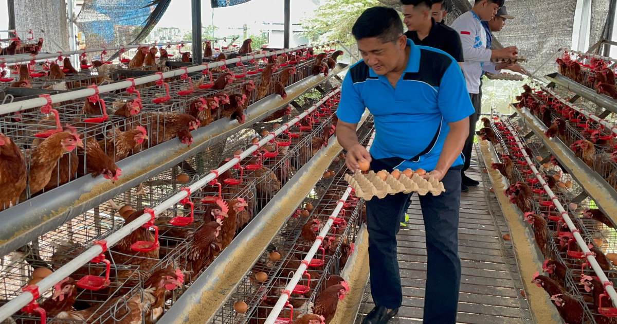 Kalapas Turun Langsung: Bukti Nyata Dukungan Kalapas Narkotika Karang Intan untuk Program Peternakan Ayam Petelur Warga Binaan